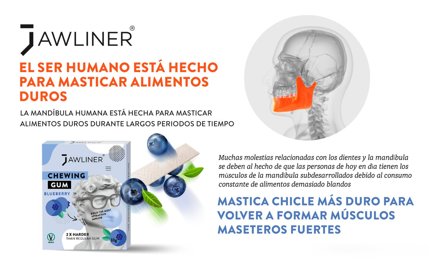 Chicle para Mandíbula - Arándano - Medium